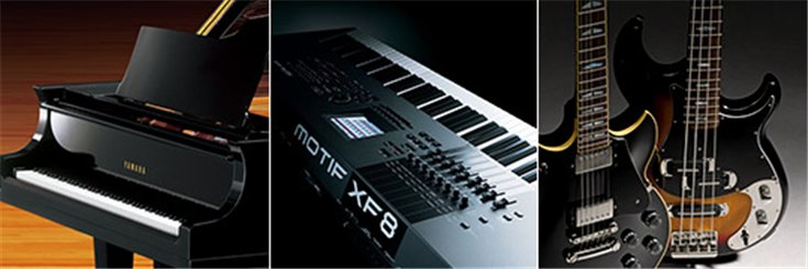 凯发k8国际首页登录乐器