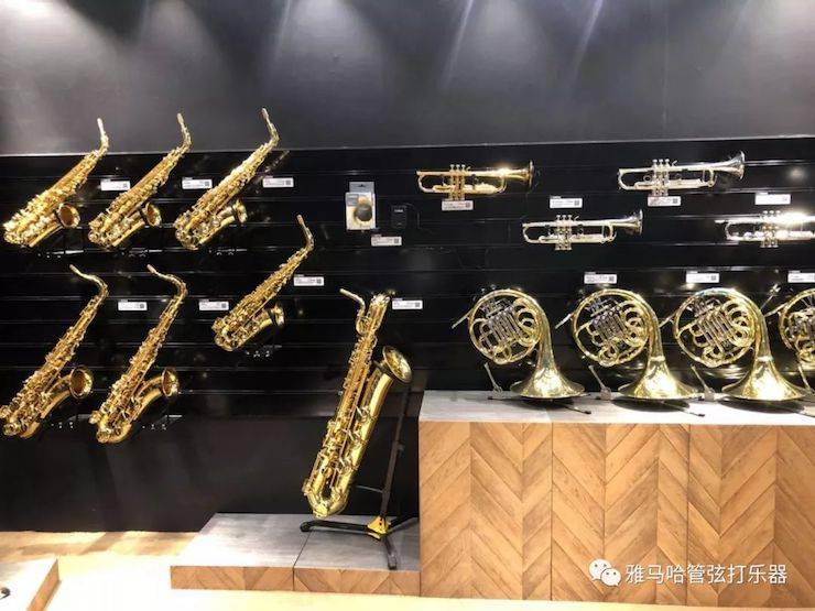 凯发k8国际首页登录乐器 试奏乐器