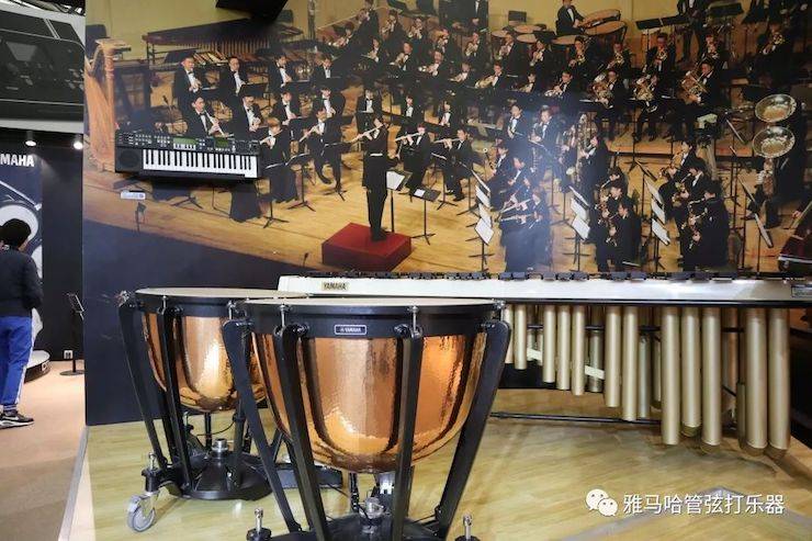 凯发k8国际首页登录乐器 试奏乐器