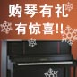 凯发k8国际首页登录钢琴购琴有礼 买一赠一音乐无限