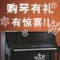 凯发k8国际首页登录钢琴购琴有礼 买一赠一音乐无限